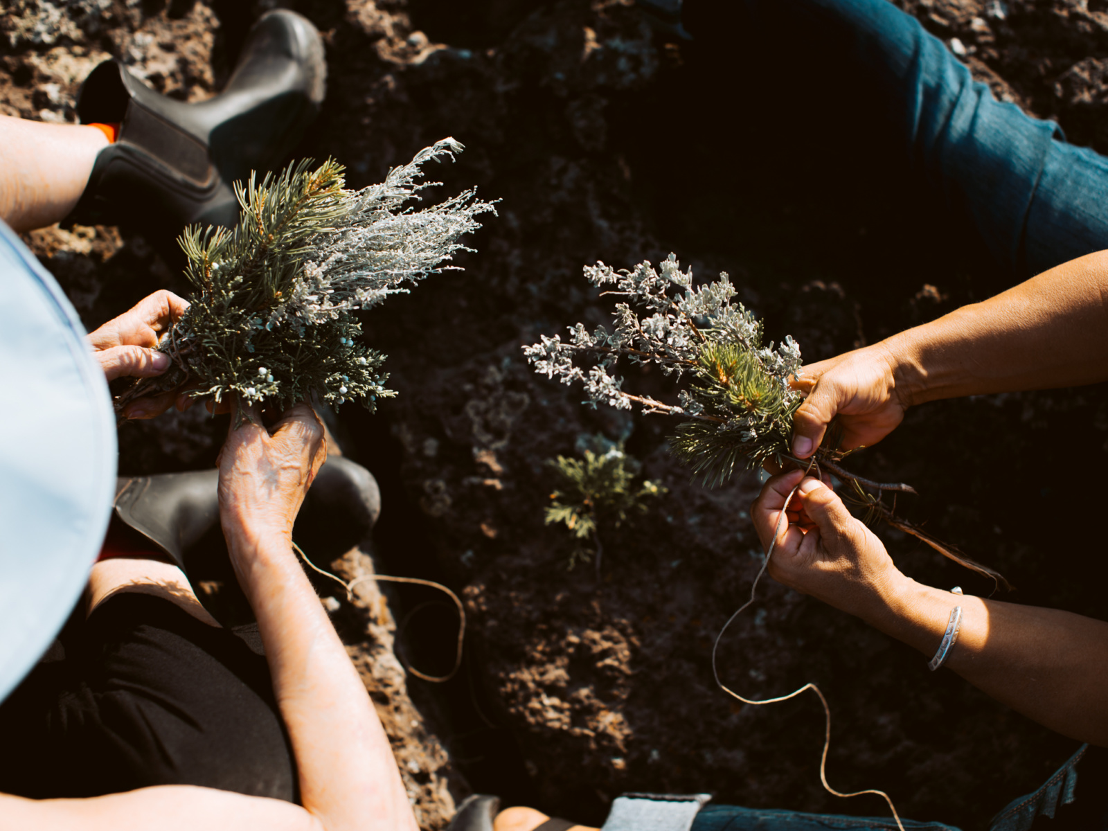 Travel in New Mexico Nourishes Wellness